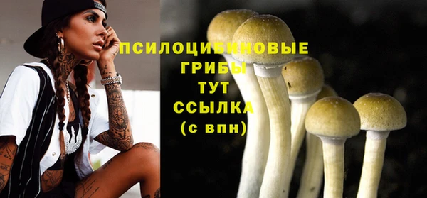 MDMA Premium VHQ Магадан