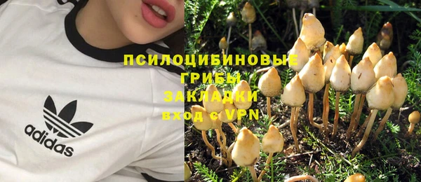 винт Майский