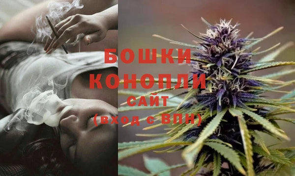 винт Майский