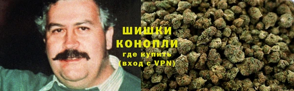 винт Майский