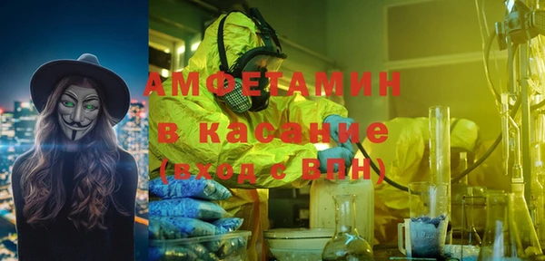 индика Бабаево