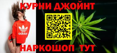 сатива Кимры