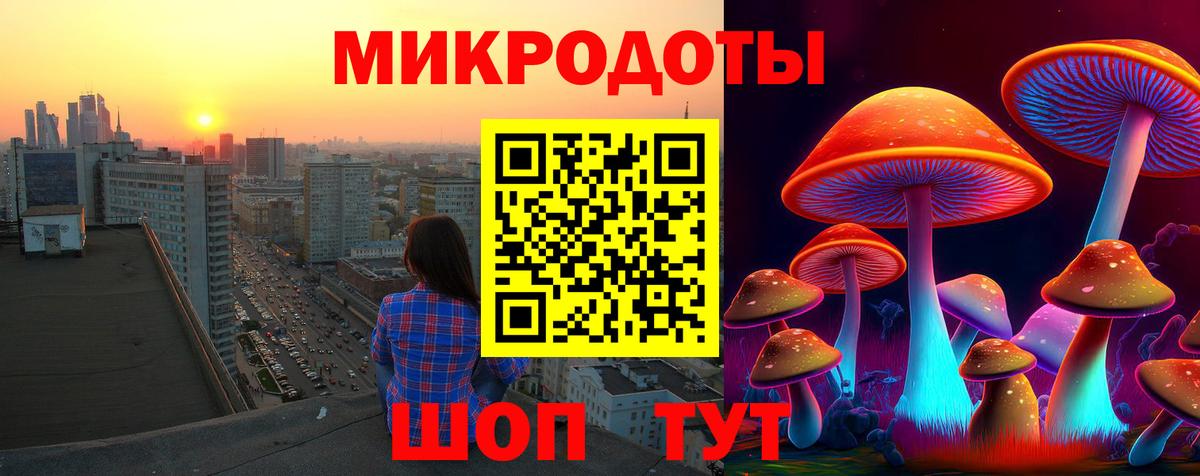 Галлюциногенные грибы Magic Shrooms Чернушка