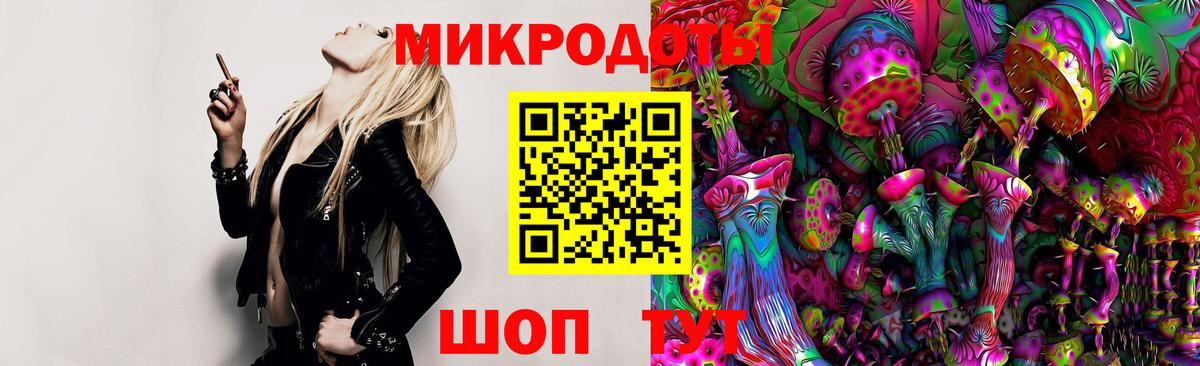 Псилоцибиновые грибы Cubensis Чернушка